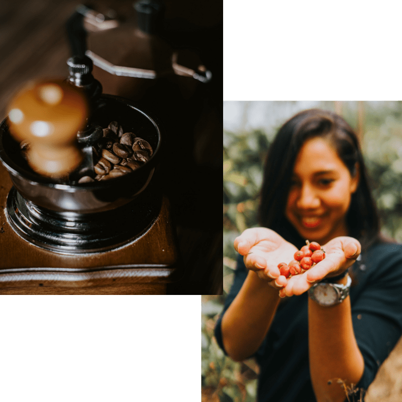 Photographic collage of a woman holding coffee beans